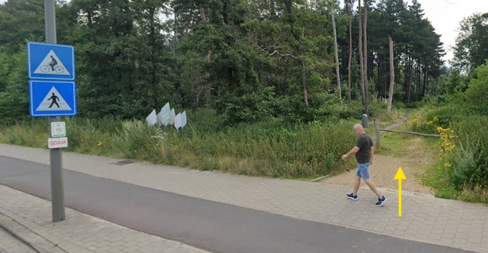 parkgrootschijnspeelbos