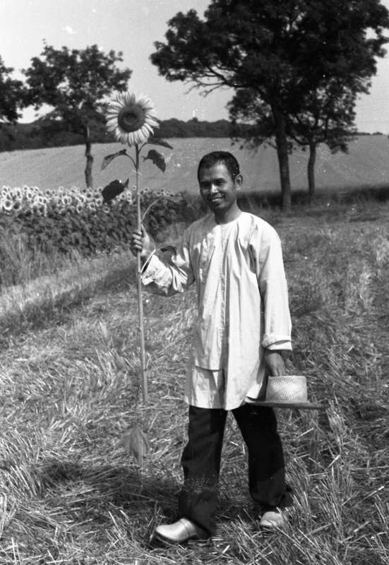 12 Thich Nhat Hanh with a sunflower in the early days of Plum Village PHOTO PVCEB