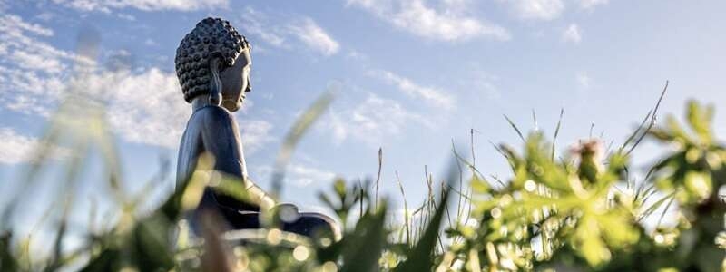 Calming the  Fearful Mind - Online Retreat