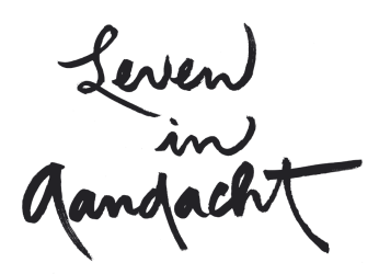 Logo Leven in Aandacht