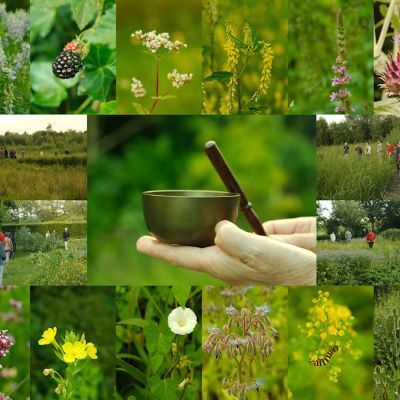 Als het ook maar even kan doen we hier de loopmeditatie.