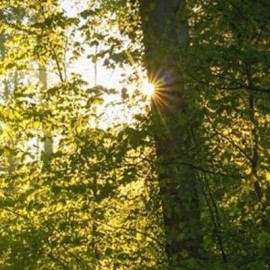 Mindfulness van moonfulness