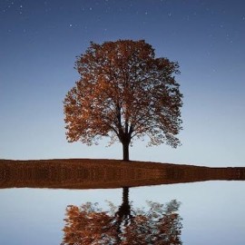 Mindfulness van moonfulness