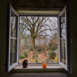 Mindfulness in het Alledaagse