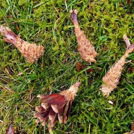 Vloeiende dialogen met het land