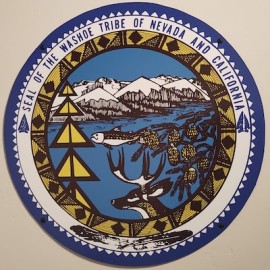 Opnieuw beginnen met Washoe