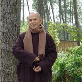 My Life Is My Message: Thich Nhat Hanh's pad naar vrede