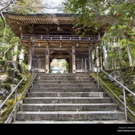 Pilgrimage Retreat Japan: Walking Home – A Journey of True Presence