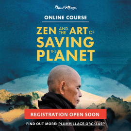 Zen and the Art of saving the Planet - online course Plum Village