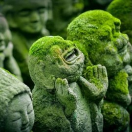 Het donker verdragen en het licht verwelkomen 