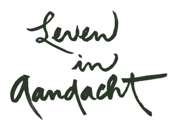 Logo Leven in Aandacht